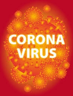 CORONA: सब्जी विक्रेता एक महिलासहित छत्तीसगढ़ में BSF के 16 जवान हुए कोरोना पॉजिटिव,