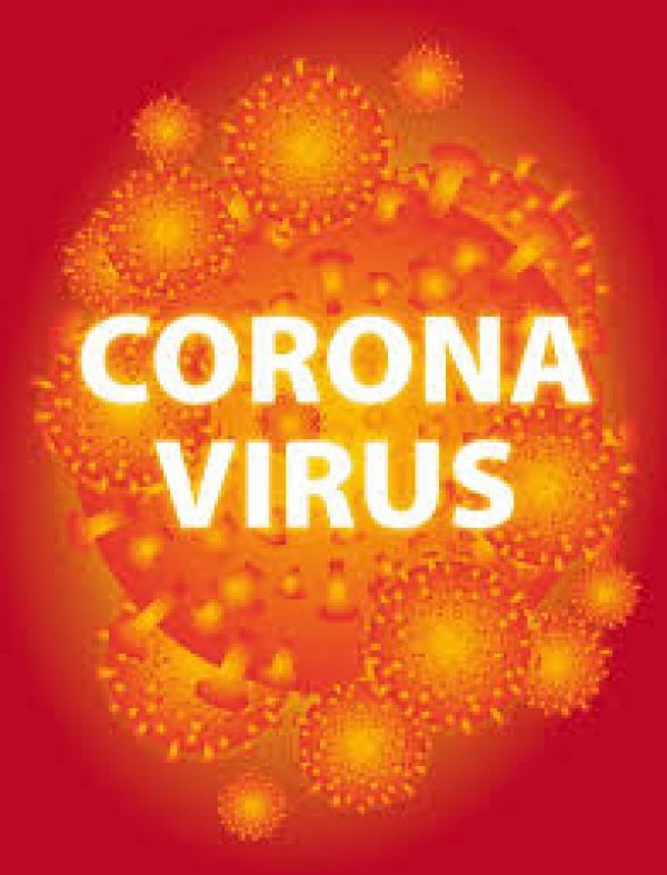 CORONA: सब्जी विक्रेता एक महिलासहित छत्तीसगढ़ में BSF के 16 जवान हुए कोरोना पॉजिटिव,