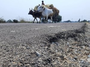 बायपास पर चल रही बैलगाड़ी और रोड के उखड़े छोर से दिख रही गुणवत्ता।