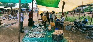आत्मनिर्भर : मछली पालन से आत्मनिर्भर बना ढीमर समाज,सुधरे हालात,युवाओं को मिला रोज़गार