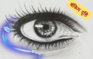 बांस की सरकार और लकड़ी के इरादे