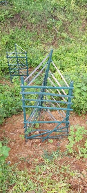 भ्रष्टाचार : करोड़ों खर्च लगाए पौधे,आधे ज्यादा अस्तित्व में नहीं